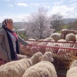 Sakarya’da Tarım ve Hayvancılıkla Geçinen Aile İşletmesi Oteller