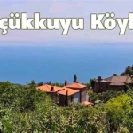 Sakarya’da Kaz Dağları’na Komşu Köy Evleri