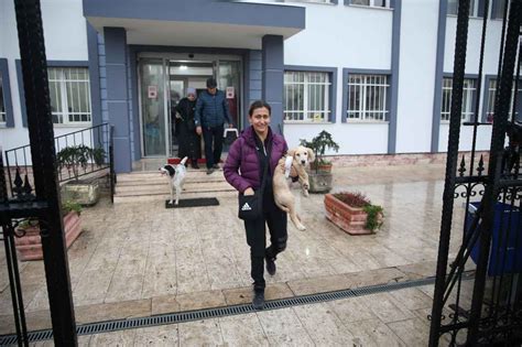 Sakarya'da Evcil Hayvan Barındırma ve Eğitim Hizmetleri veren Oteller